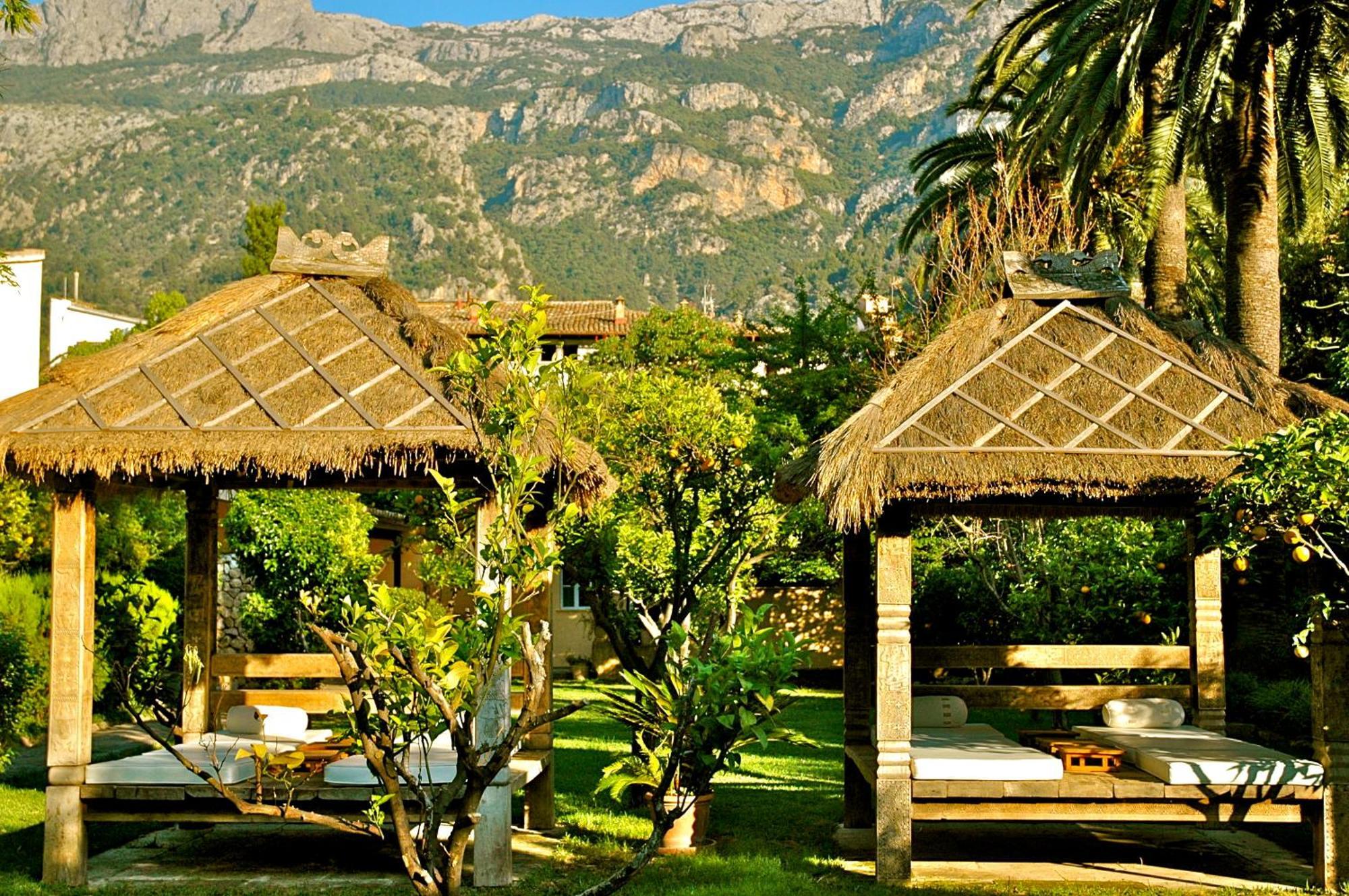 Roses Soller